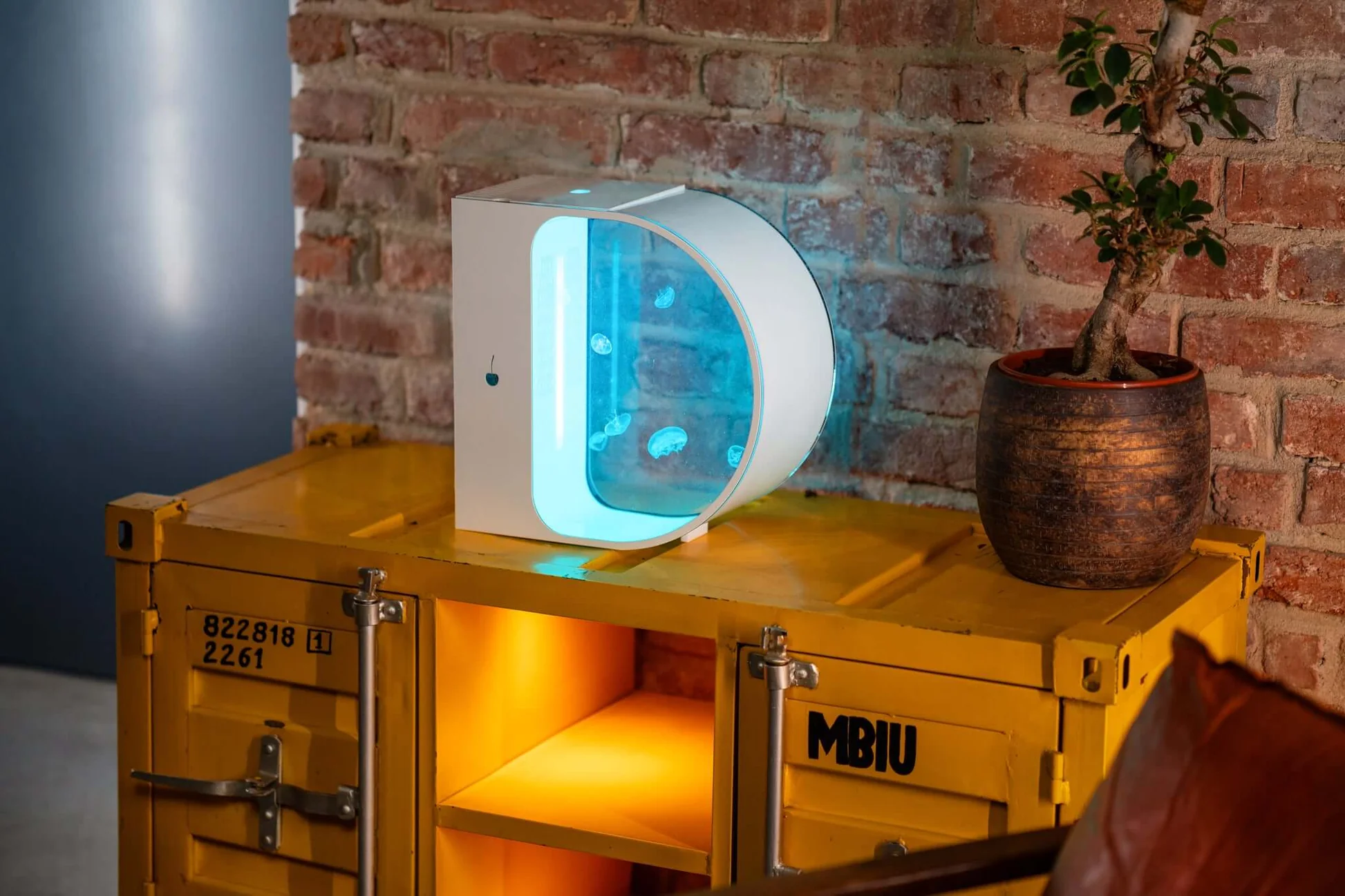Transform Your Space with the Stunning Jellyfish Aquarium Tank from Pet Jellyfish