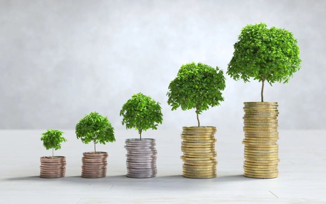 What does White Oak Impact Fund invest in?
