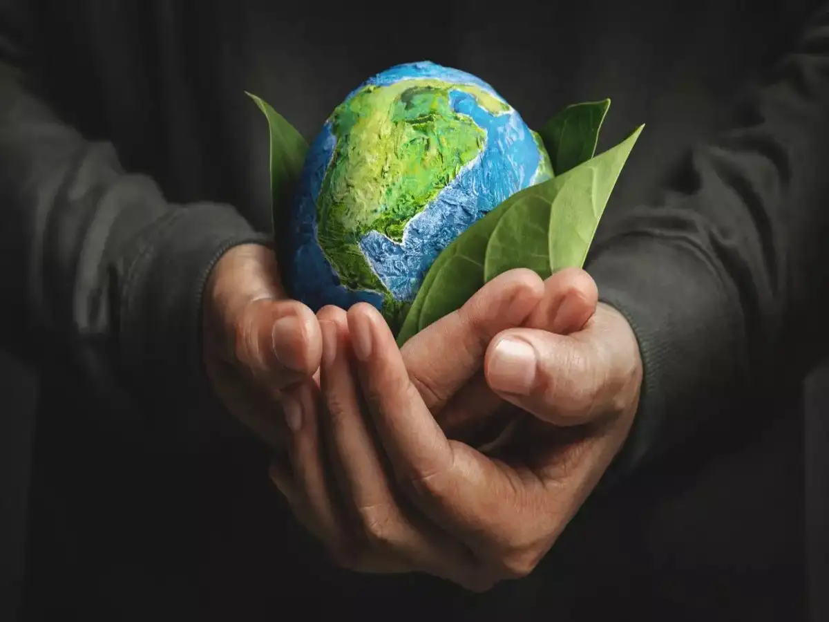 9 Earth Day Deals on Products Wirecutter Loves