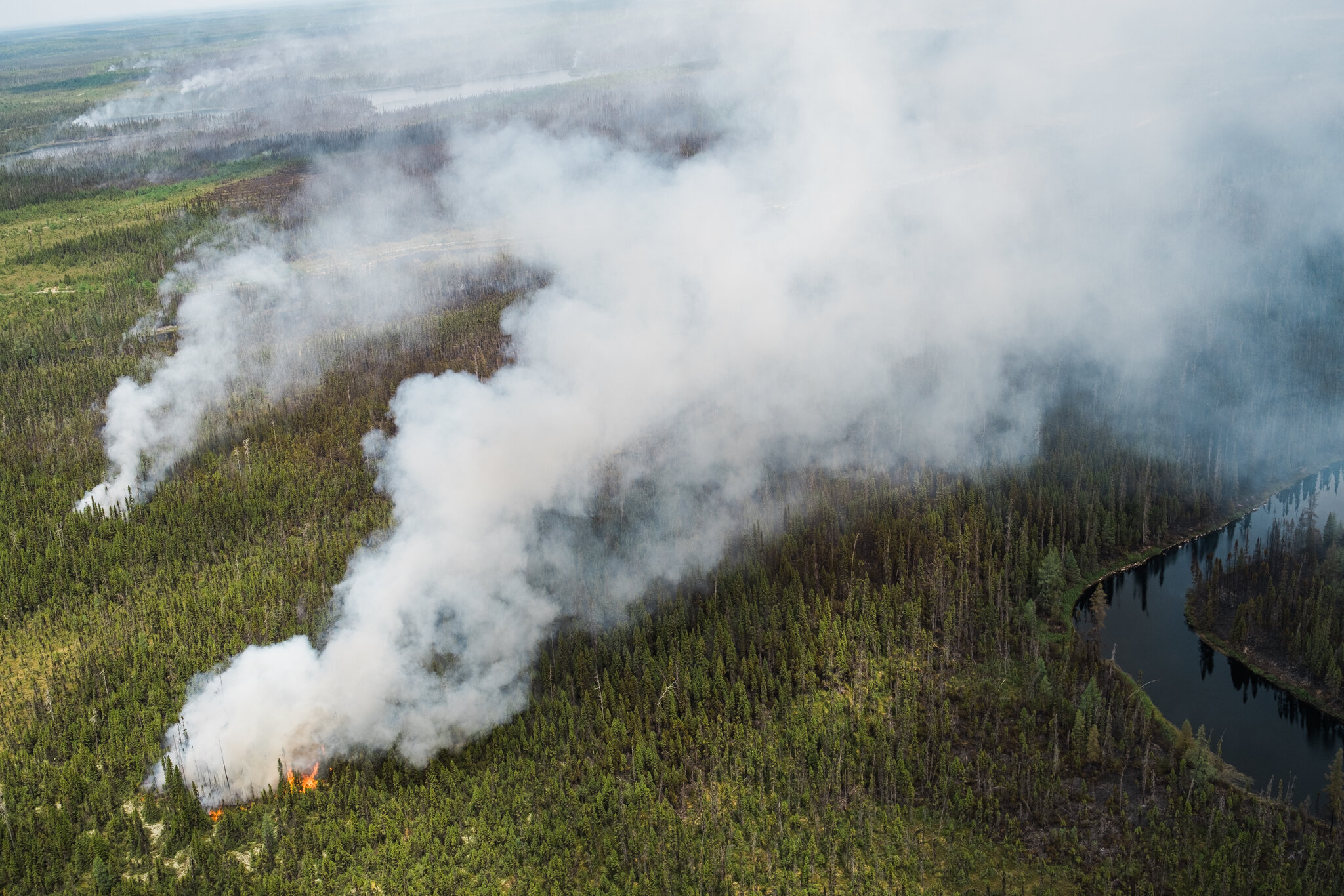 Dense smoke from Canadian wildfires is blowing into U.S.